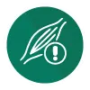 Prevención lesiones gimnastas