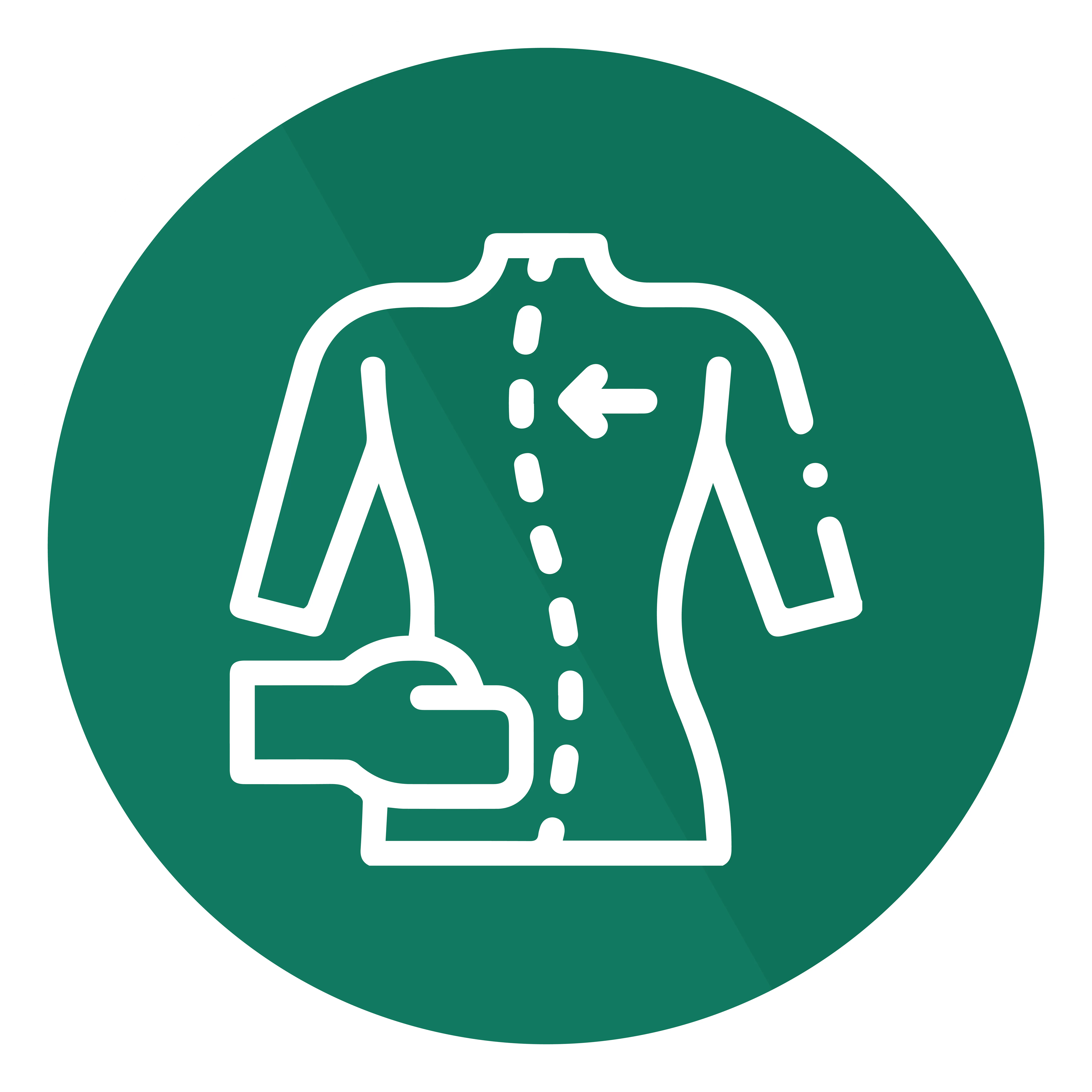 Quiropraxia (Ajustes quiroprácticos) en Dolorfin